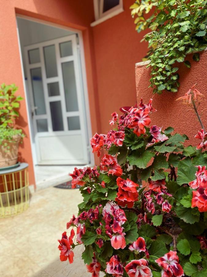 Apartments Zala Matusan 수페타르스카 드라가 외부 사진
