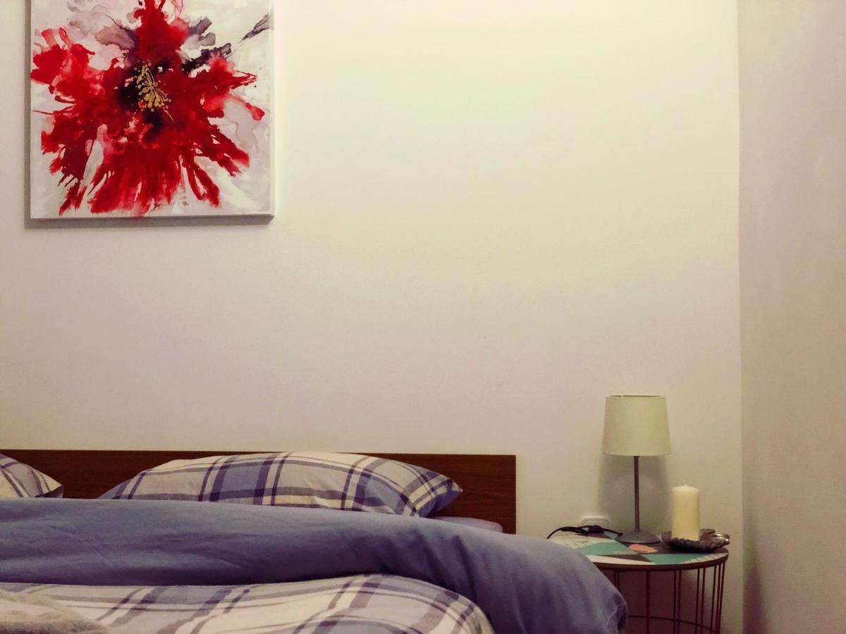 Apartments Zala Matusan 수페타르스카 드라가 외부 사진